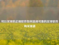 可以买球的正规软件如何选择可靠的足球软件购买渠道