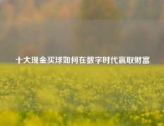 十大现金买球如何在数字时代赢取财富