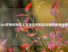 2022世界杯网站上买球在线购买球票的便捷体验