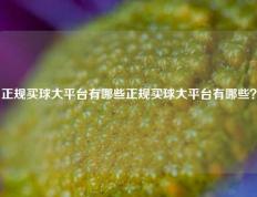 正规买球大平台有哪些正规买球大平台有哪些？