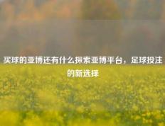 买球的亚博还有什么探索亚博平台，足球投注的新选择