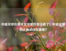 中超买球在哪买足球爱好者注意了！中超买球的正确途径在哪里？