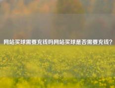 网站买球需要充钱吗网站买球是否需要充钱？