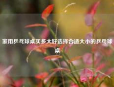 家用乒乓球桌买多大好选择合适大小的乒乓球桌