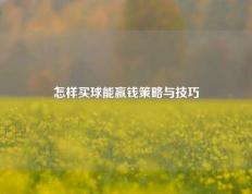 怎样买球能赢钱策略与技巧