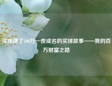 买球赚了100万一夜成名的买球故事——我的百万财富之路