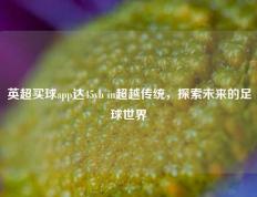 英超买球app达45yb in超越传统，探索未来的足球世界