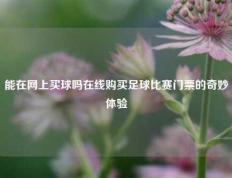 能在网上买球吗在线购买足球比赛门票的奇妙体验
