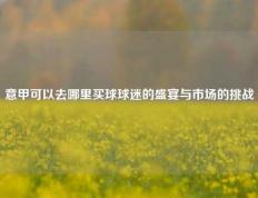意甲可以去哪里买球球迷的盛宴与市场的挑战
