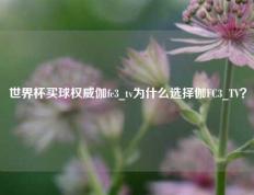 世界杯买球权威伽fc3_tv为什么选择伽FC3_TV？