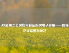 e球彩票怎么买如何合法购买电子彩票——揭秘正规渠道和技巧