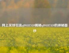 网上买球引流q894187459揭秘q894187459的神秘面纱