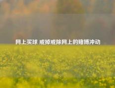 网上买球 戒掉戒除网上的赌博冲动