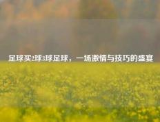 足球买2球3球足球，一场激情与技巧的盛宴