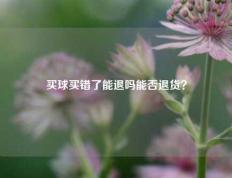 买球买错了能退吗能否退货？