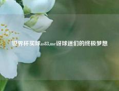世界杯买球as83,me讶球迷们的终极梦想