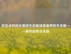 买花点时间水藻球生态瓶绿意盎然的生态瓶——你的自然小天地