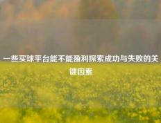 一些买球平台能不能盈利探索成功与失败的关键因素