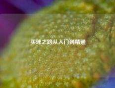 买球之路从入门到精通