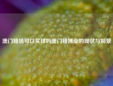 澳门赌场可以买球吗澳门赌博业的现状与前景