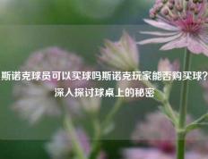 斯诺克球员可以买球吗斯诺克玩家能否购买球？深入探讨球桌上的秘密