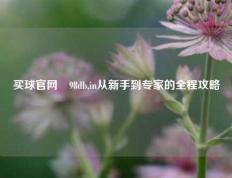买球官网訫98db,in从新手到专家的全程攻略