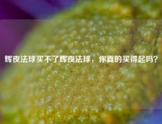 辉夜法球买不了辉夜法球，你真的买得起吗？