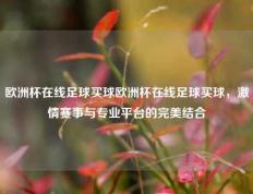 欧洲杯在线足球买球欧洲杯在线足球买球，激情赛事与专业平台的完美结合