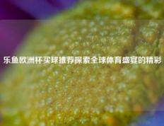 乐鱼欧洲杯买球推荐探索全球体育盛宴的精彩