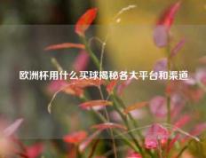 欧洲杯用什么买球揭秘各大平台和渠道