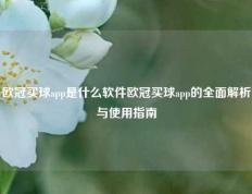 欧冠买球app是什么软件欧冠买球app的全面解析与使用指南
