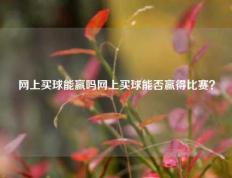 网上买球能赢吗网上买球能否赢得比赛？