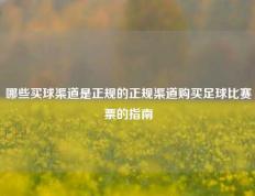 哪些买球渠道是正规的正规渠道购买足球比赛票的指南