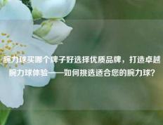 腕力球买哪个牌子好选择优质品牌，打造卓越腕力球体验——如何挑选适合您的腕力球？