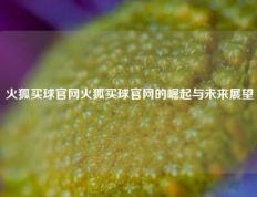 火狐买球官网火狐买球官网的崛起与未来展望