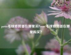povos毛球修剪器在哪里买Povos 毛球修剪器在哪里购买？