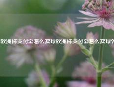 欧洲杯支付宝怎么买球欧洲杯支付宝怎么买球？