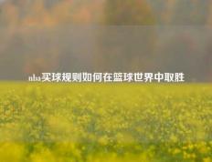 nba买球规则如何在篮球世界中取胜