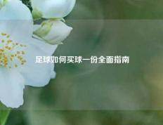 足球如何买球一份全面指南
