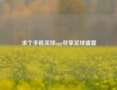 求个手机买球app尽享足球盛宴