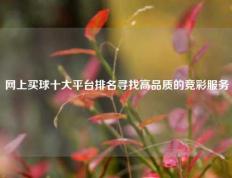 网上买球十大平台排名寻找高品质的竞彩服务