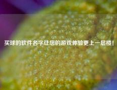 买球的软件名字让您的游戏体验更上一层楼！