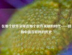 在那个软件买球在那个软件买球的时代——回顾中国互联网的历史