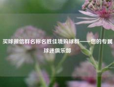 买球微信群名称名胜佳境购球群——您的专属球迷俱乐部