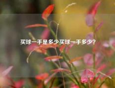 买球一手是多少买球一手多少？