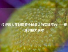 权威最大买球探索全球最大的买球平台——权威的最大买球
