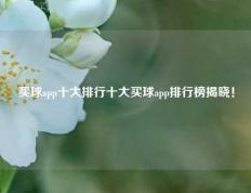 买球app十大排行十大买球app排行榜揭晓！