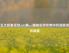 五大联赛买球ab82典net揭秘足球世界中的顶级竞技盛宴