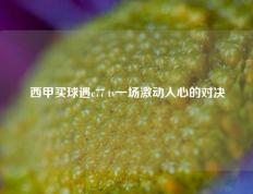 西甲买球遇c77 tv一场激动人心的对决