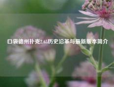 口袋德州扑克2.65历史沿革与最新版本简介